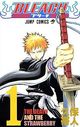 bleach